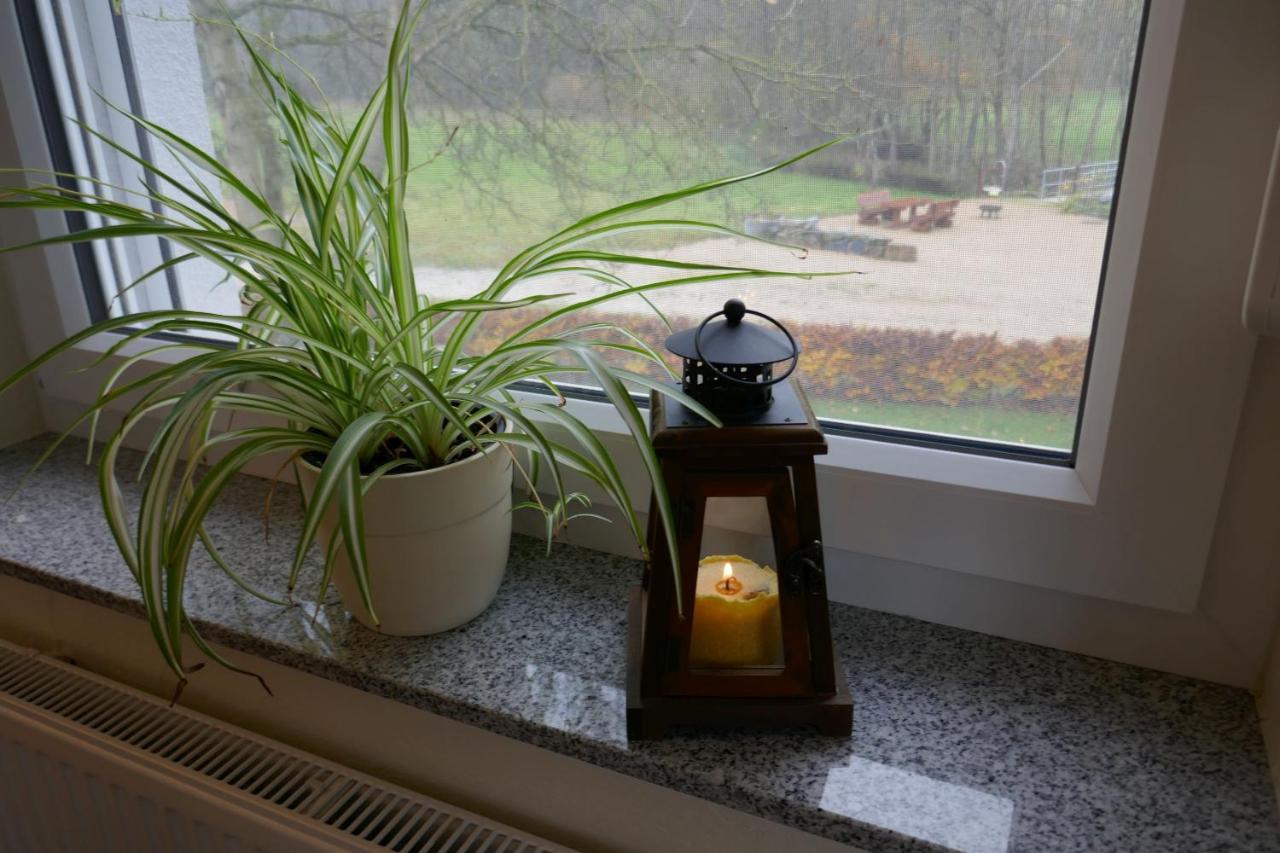 Landferien Eifel Lägenhet Pittenbach Exteriör bild