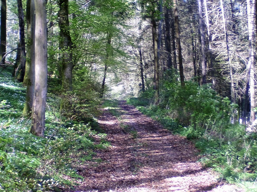 Landferien Eifel Lägenhet Pittenbach Exteriör bild