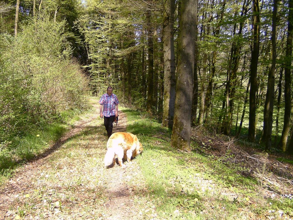 Landferien Eifel Lägenhet Pittenbach Exteriör bild