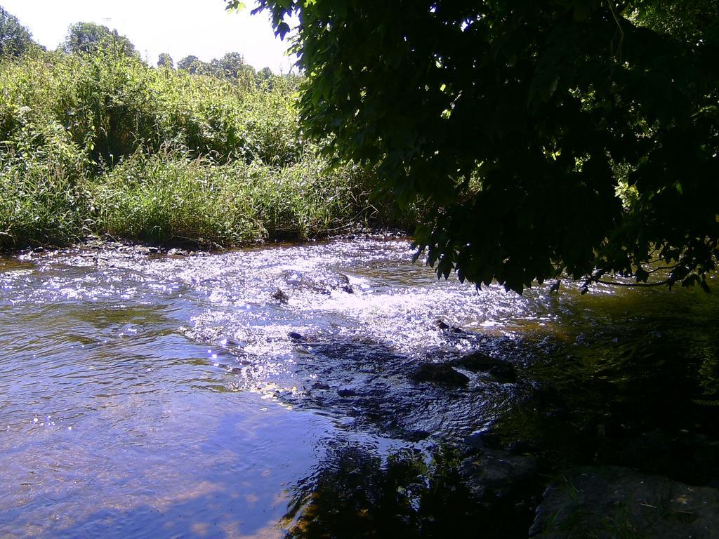 Landferien Eifel Lägenhet Pittenbach Exteriör bild