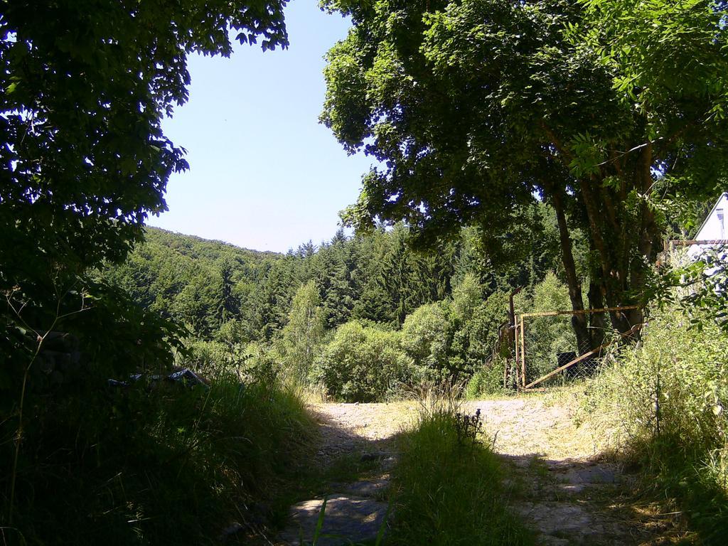 Landferien Eifel Lägenhet Pittenbach Exteriör bild